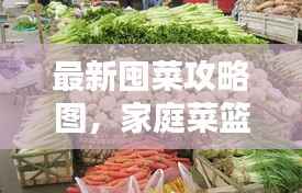 最新囤菜攻略图,家庭菜篮子战略全解析