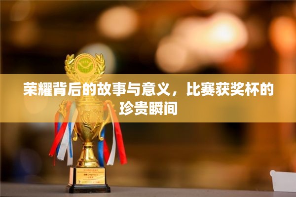荣耀背后的故事与意义,比赛获奖杯的珍贵瞬间