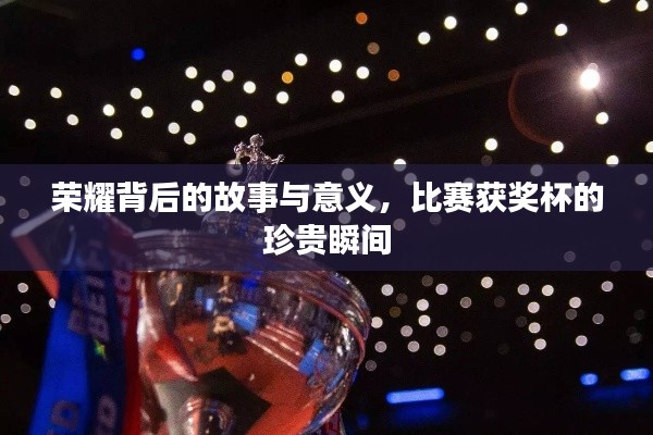 荣耀背后的故事与意义,比赛获奖杯的珍贵瞬间