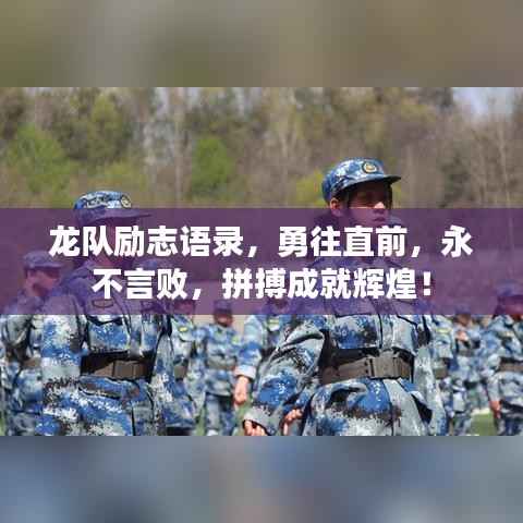 龙队励志语录,勇往直前,永不言败,拼搏成就辉煌!