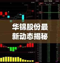 华锦股份最新动态揭秘,今日消息一网打尽!