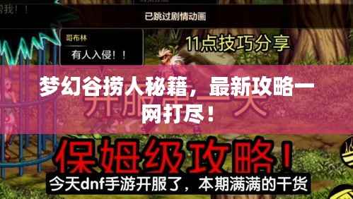 梦幻谷捞人秘籍,最新攻略一网打尽!