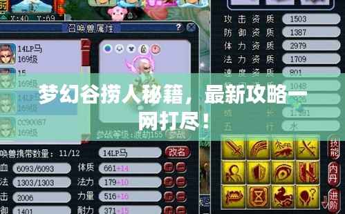 梦幻谷捞人秘籍,最新攻略一网打尽!