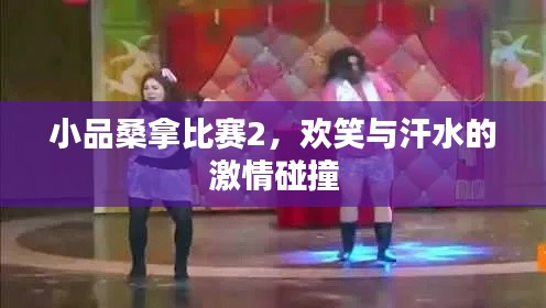 小品桑拿比赛2,欢笑与汗水的激情碰撞