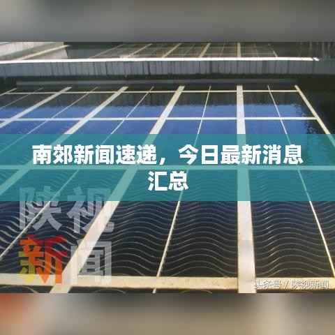 南郊新闻速递,今日最新消息汇总