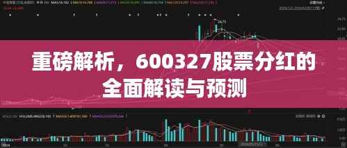 重磅解析,600327股票分红的全面解读与预测