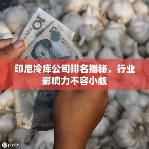 印尼冷库公司排名揭秘,行业影响力不容小觑