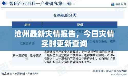 沧州最新灾情报告,今日灾情实时更新查询