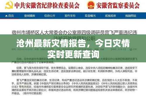 沧州最新灾情报告,今日灾情实时更新查询