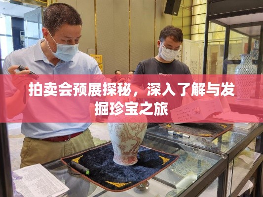 拍卖会预展探秘,深入了解与发掘珍宝之旅