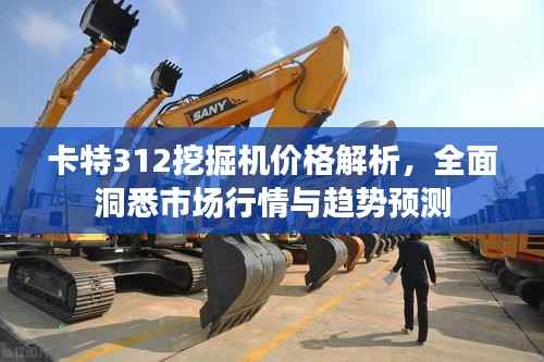 卡特312挖掘机价格解析,全面洞悉市场行情与趋势预测