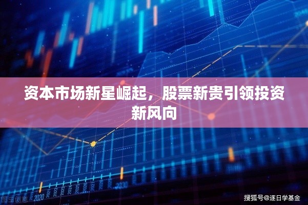 资本市场新星崛起,股票新贵引领投资新风向