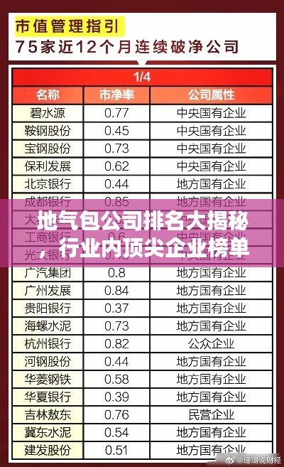地气包公司排名大揭秘,行业内顶尖企业榜单揭晓!