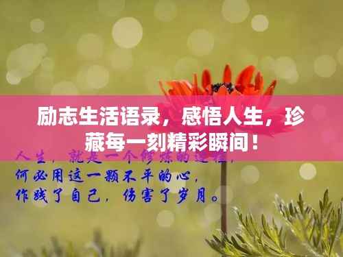 励志生活语录,感悟人生,珍藏每一刻精彩瞬间!