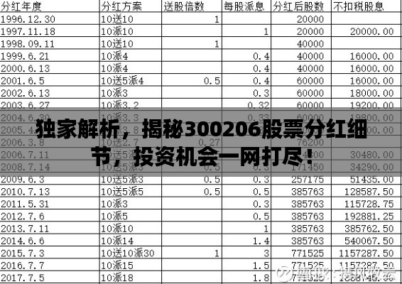 独家解析,揭秘300206股票分红细节,投资机会一网打尽!