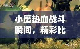 小鹰热血战斗瞬间,精彩比赛视频集锦回顾
