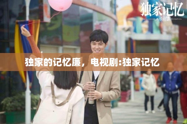 独家的记忆廉,电视剧:独家记忆