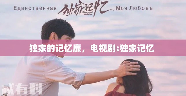 独家的记忆廉,电视剧:独家记忆