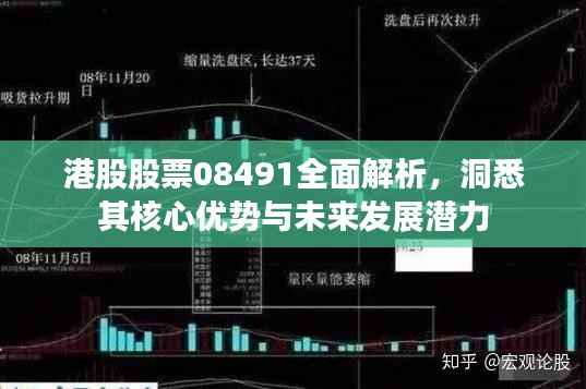 港股股票08491全面解析,洞悉其核心优势与未来发展潜力