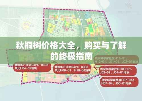 秋桐树价格大全,购买与了解的终极指南