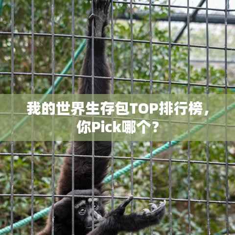 我的世界生存包TOP排行榜,你Pick哪个?