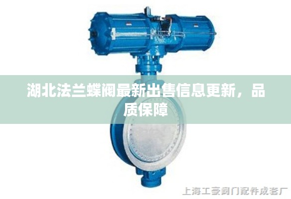 湖北法兰蝶阀最新出售信息更新,品质保障