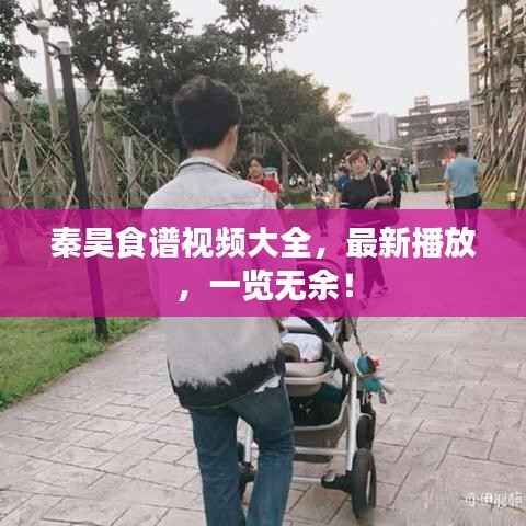 秦昊食谱视频大全,最新播放,一览无余!