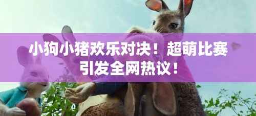 小狗小猪欢乐对决!超萌比赛引发全网热议!