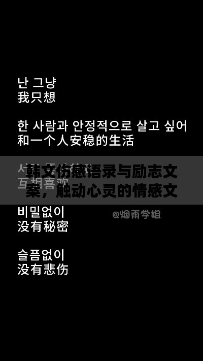 韩文伤感语录与励志文案,触动心灵的情感文字
