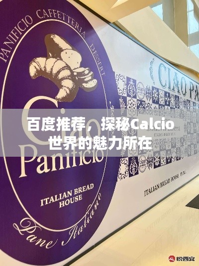 百度推荐,探秘Calcio世界的魅力所在
