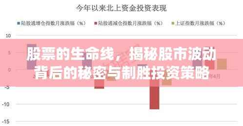 股票的生命线,揭秘股市波动背后的秘密与制胜投资策略
