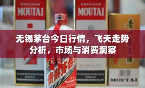 无锡茅台今日行情,飞天走势分析,市场与消费洞察