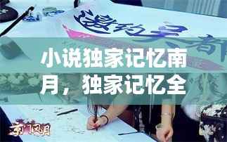 小说独家记忆南月,独家记忆全文免费