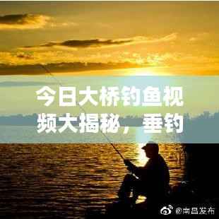 今日大桥钓鱼视频大揭秘,垂钓乐趣新篇章探索