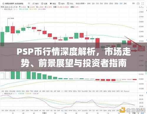 PSP币行情深度解析,市场走势、前景展望与投资者指南