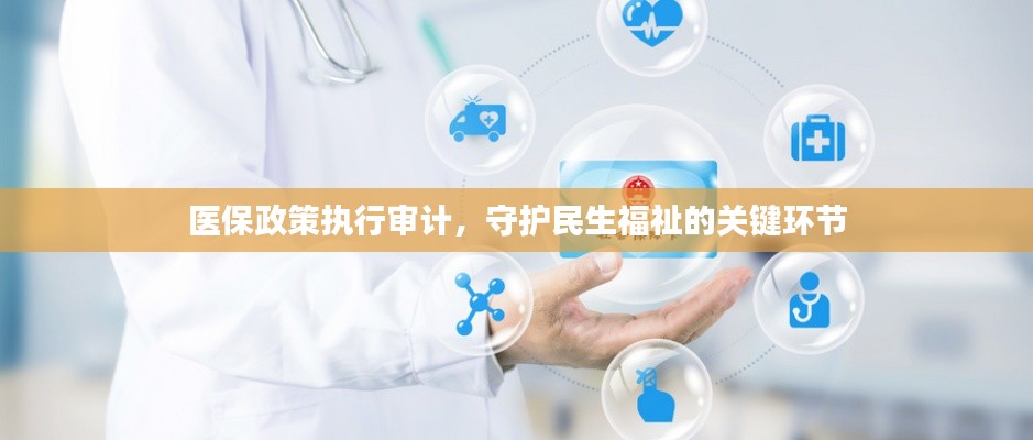 医保政策执行审计,守护民生福祉的关键环节