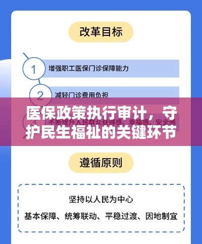 医保政策执行审计,守护民生福祉的关键环节