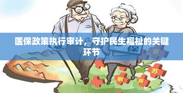 医保政策执行审计,守护民生福祉的关键环节