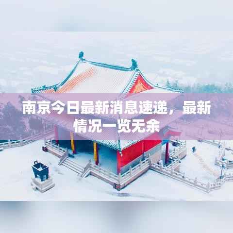 南京今日最新消息速递,最新情况一览无余