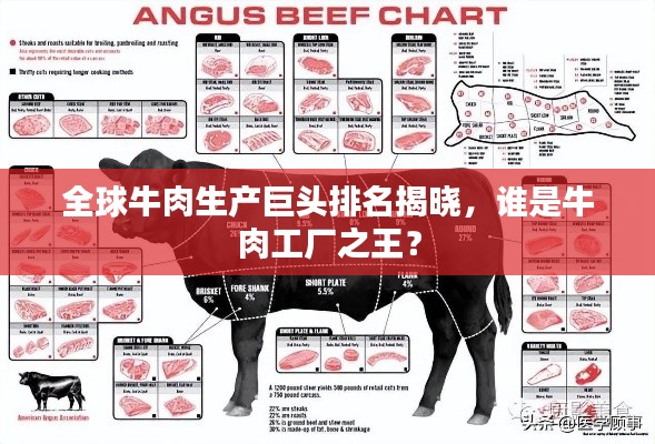 全球牛肉生产巨头排名揭晓，谁是牛肉工厂之王？
