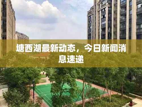 塘西湖最新动态,今日新闻消息速递