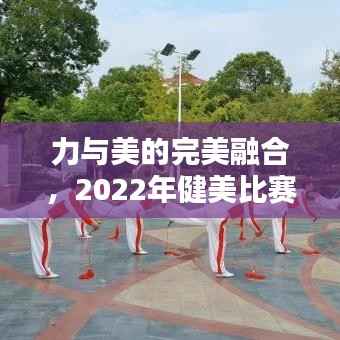 力与美的完美融合,2022年健美比赛精彩瞬间