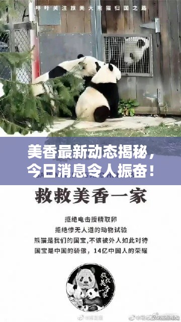 见仁见智 第2页