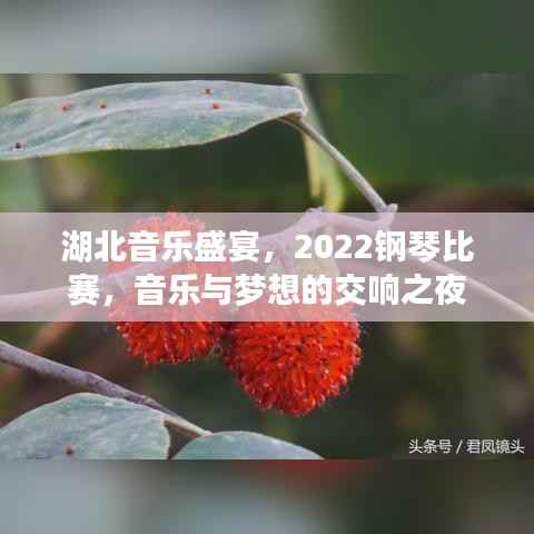 湖北音乐盛宴,2022钢琴比赛,音乐与梦想的交响之夜