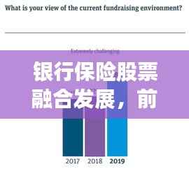 银行保险股票融合发展,前景展望与面临的挑战