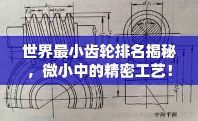 世界最小齿轮排名揭秘,微小中的精密工艺!