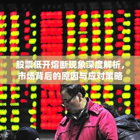 股票低开熔断现象深度解析,市场背后的原因与应对策略