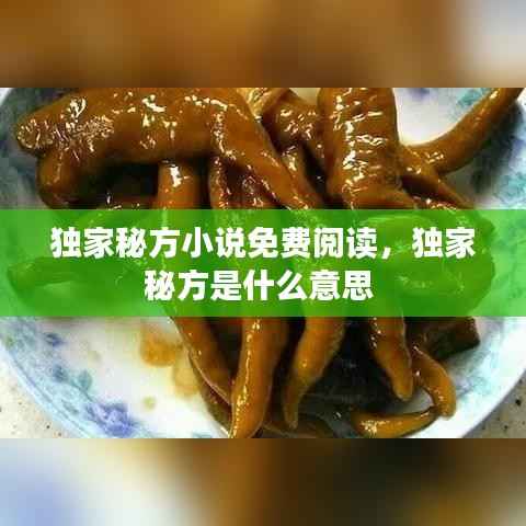 独家秘方小说免费阅读,独家秘方是什么意思