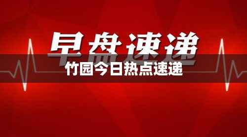 竹园今日热点速递