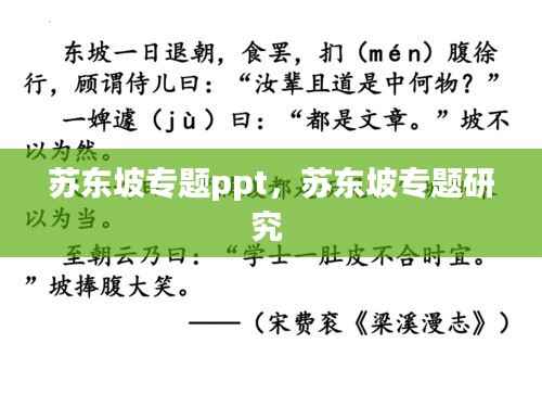 苏东坡专题ppt,苏东坡专题研究